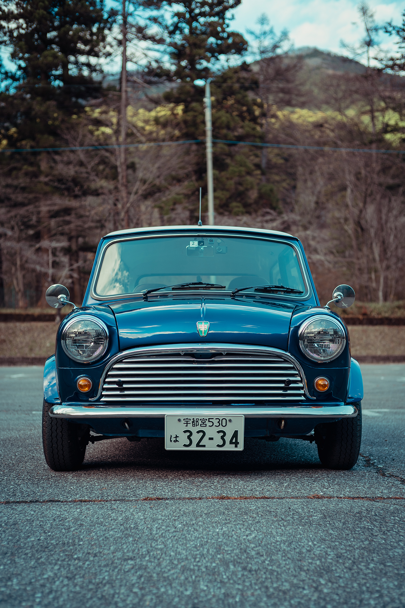 3234 Life With Mini 3234 Rover Mini Twitter