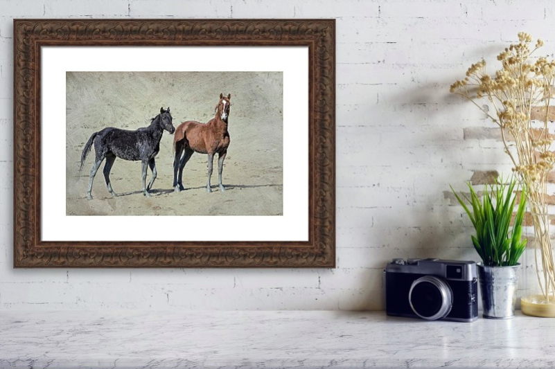 BelindaGreb's tweet image. Mud Stockings by Belinda Greb - The HMA waterhole here has dwindled to about a fraction of its full size so the mustangs have to wade out through thick mud to get to the clear water. fineartamerica.com/featured/mud-s…
#photography