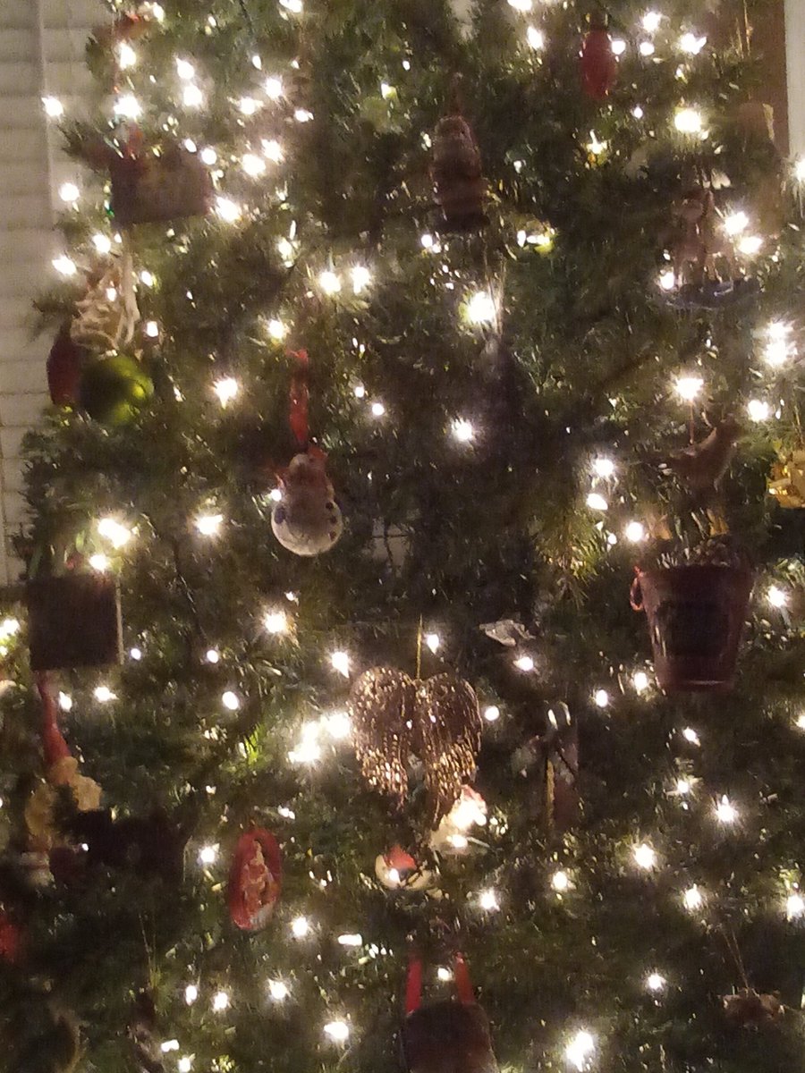 In memory of my sweet mother in law❤. We have several angel wings on our tree in memory of loved ones that are gone. Miss them every day. Christmas is a time to express how much.