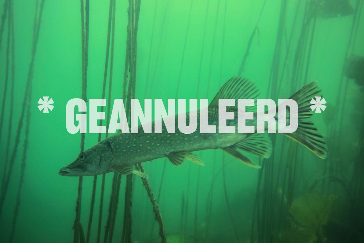 * GEANNULEERD *

Helaas gaat het tellen van snoeken op de Wilgenhof aanstaande vrijdag niet door.

We hopen deze activiteit op een later moment alsnog te kunnen aanbieden.