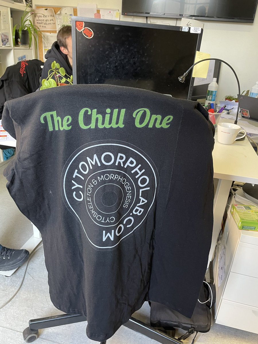 adriancandelas's tweet photo. Ouuuhhh coming back to the office, I got my personalized #CytoMorphoLab T-shirt ๐ฅน
I have now the outfit for the next Congress! ๐ https://t.co/sj46SQ0VVq