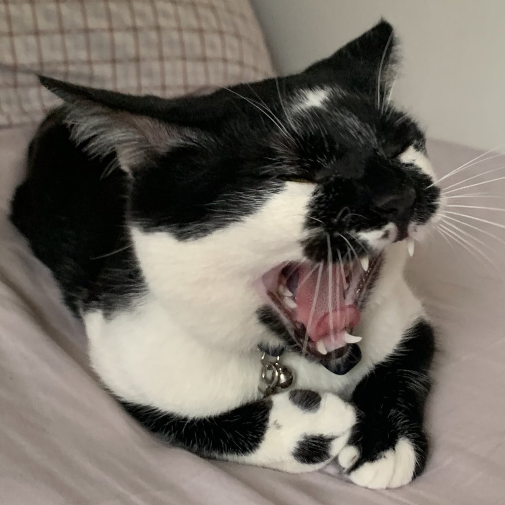 Kuingin mMaAarRrraAahhHhH……