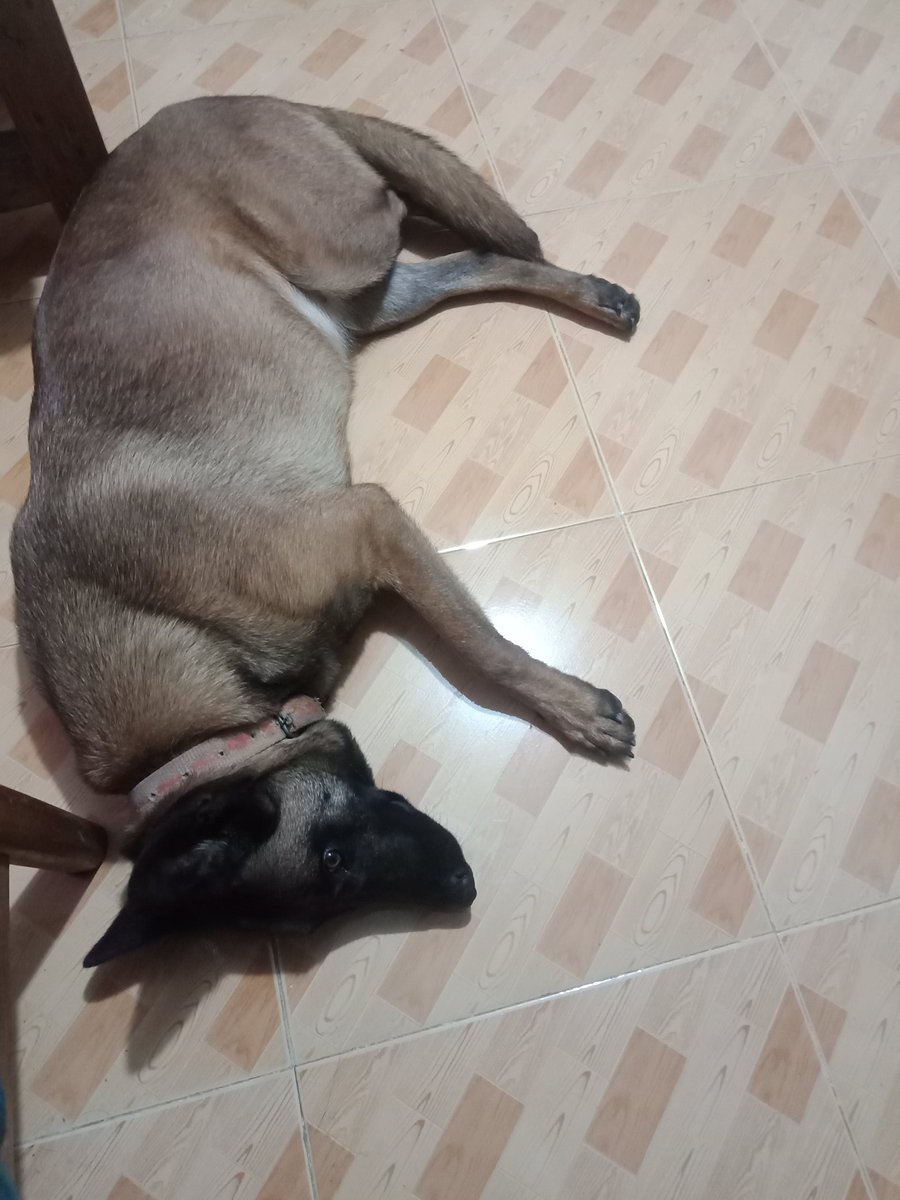 Pb_Shane's tweet photo. Bantay bata 😅😅 https://t.co/Niouug2AsS