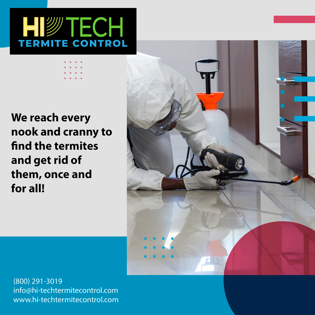 HiTechTermiteCA's tweet photo. What is #FumigationTermiteControl?

During a #termite fumigation process, a trained pest management professional will place a tent over a home before releasing a fumigant throughout the structure.

https://t.co/5sV5LAv3zT

#TermiteDamageRepairOrangeCounty https://t.co/7iPN0IoHiu