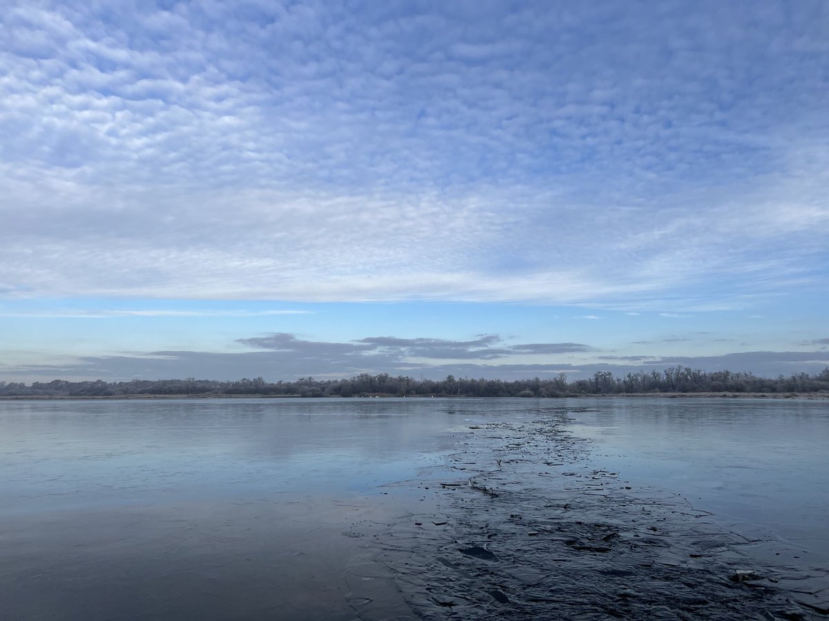 Chilly morning (-5 degrees Celsius) water sampling in the Broads Bure marshes. A trail of broken ice in the wake of our small boat, here on Hoveton Great Broad! @ueaenv