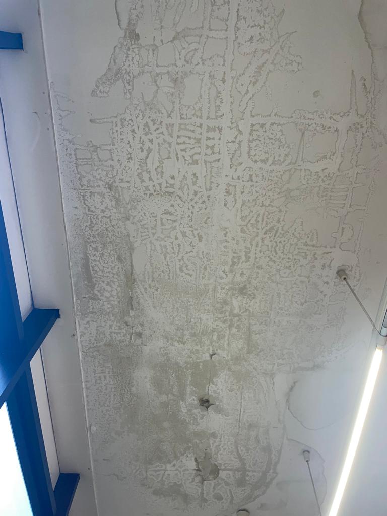 DelegFEE_UAH's tweet photo. Desde la delegación de la Facultad de Económicas de la UAH, nos gustaría denunciar la penosa situación con la que nos toca lidiar todos los días en nuestra facultad. Un edificio que, recordamos, forma parte del patrimonio de la @UNESCO_es y que ha estallado en el día de hoy

🧵 https://t.co/JTmvrus6Tm