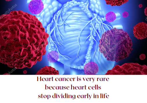 #CancerSucks
Source: health.clevelandclinic.org/facts-about-th…