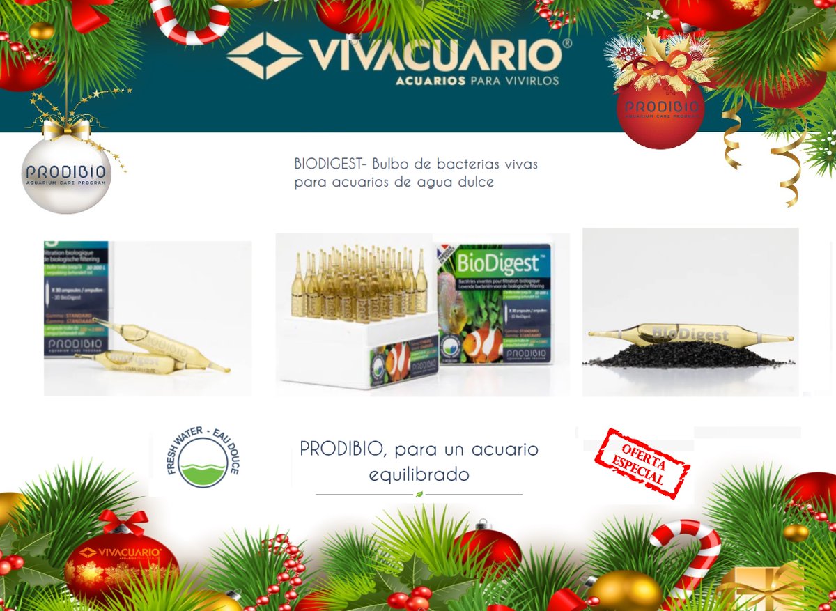 Vivacuario's tweet photo. BIODIGEST es un consorcio bacteriano formado por más de 15 cepas bacterianas naturales.

BIODIGEST contribuye al inicio rápido y eficaz de la filtración biológica.

La acción de BIODIGEST contribuye a que el agua sea clara e inodora.

#Vivacuario #Prodibio https://t.co/NQbPlsbxwQ