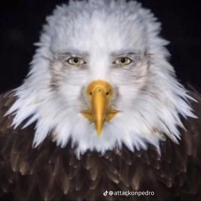 HarleyCox_'s tweet photo. #NewProfilePic https://t.co/T2Tha08qHx