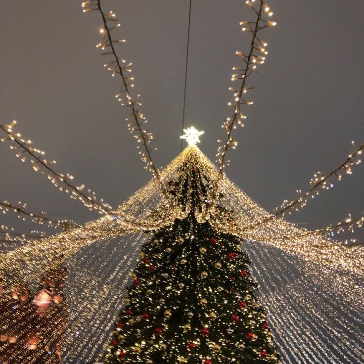 lvnareclps's tweet photo. wonderful christmastime https://t.co/UBQJJvut8p