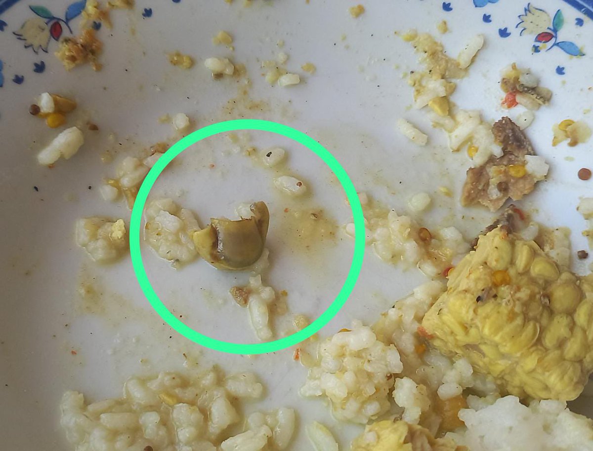 RobertHendrikJr's tweet photo. @catchmeupid Serem nih, orang sekampung ga ada yg berani makan tahu tempe lagi… katanya jari itu tercampur antara di tahu atau tempe. https://t.co/IQqEUnd4LB