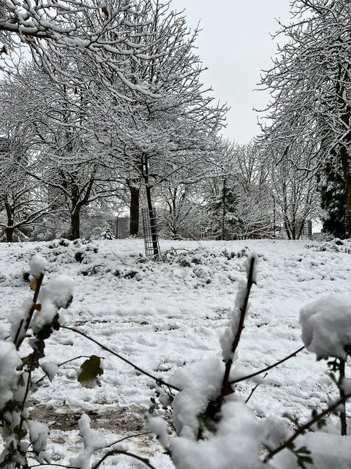 London has a blanket 😍 https://t.co/xuRUES6iBM