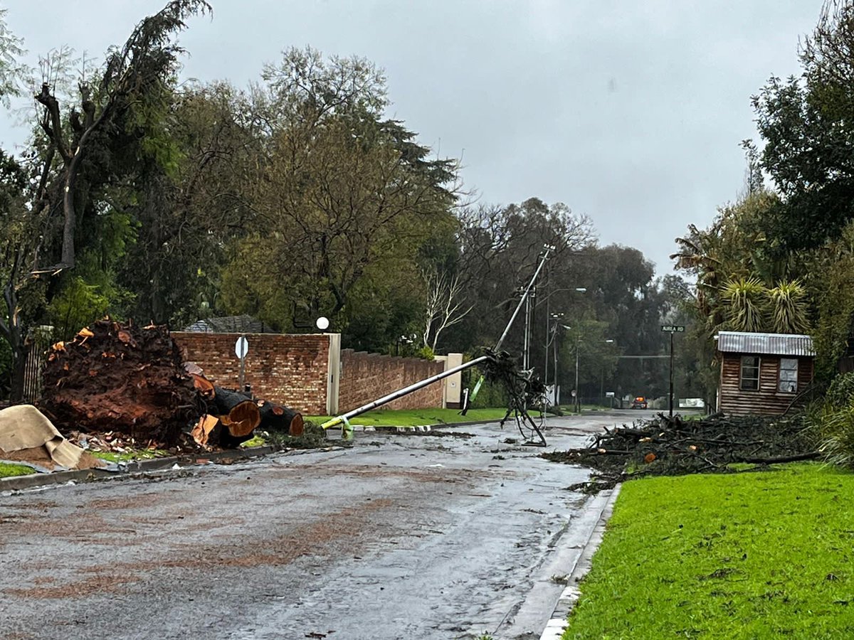 atichauer's tweet photo. @CityPowerJhb @jozi117 @mphophalatse1 Day 8 power lines in the street. Victory Park Road no3 https://t.co/tIK2oriP2z