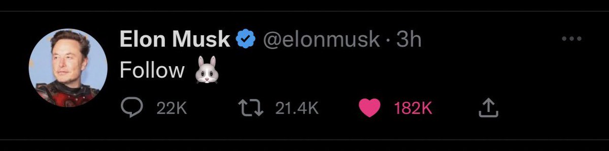 WRabbitEth's tweet photo. The 🐰 leads @elonmusk https://t.co/Eznyk4zhM2