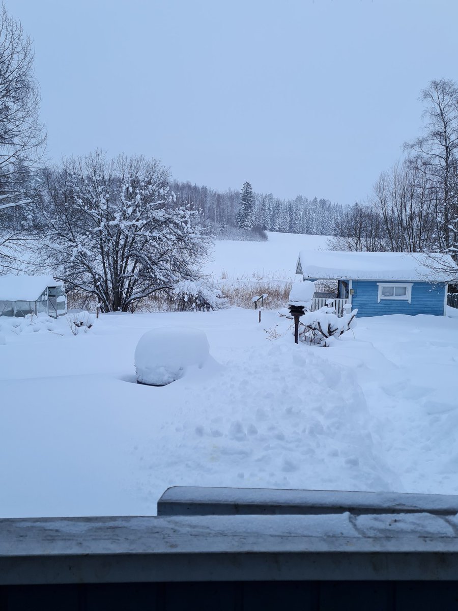 Huomenta eteläsuomesta!#ilmastonmuutos