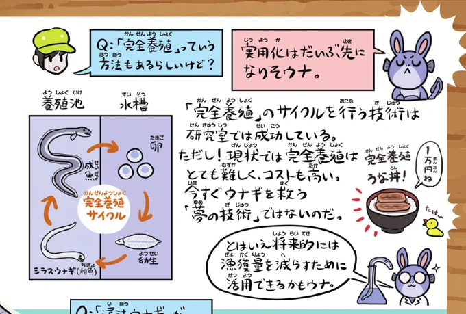 ウナーっす!元気ウナ? ウナギの完全養殖成功の話題をちょろっと見かけたウナ! たしかに進歩だけど、すぐにウナギを絶滅から救う"夢の技術"ではないことは覚えといてほしウナ。いちばん大事なのはやっぱり消費量の削減、野生ウナギの保全、そして〜?違法漁業の撲滅ウナ!!
https://t.co/xwkdjcagFn 