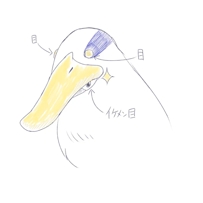 例の告知イラスト見て初めに思ったことです 