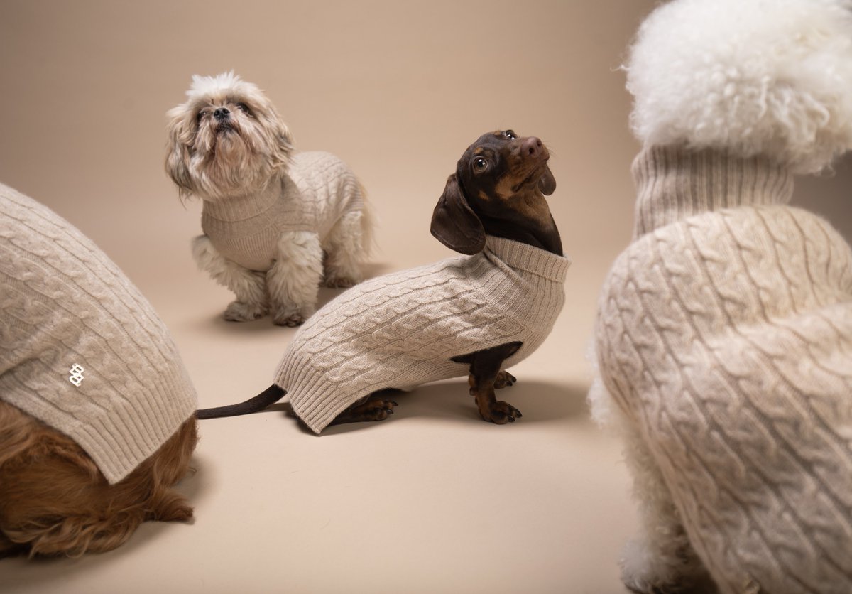 Balmuir proudly presents: The Balmuir Pet Collection. The brand new collection surrounds our beloved life companions in the pampering softness of 100% cashmere. Read more here: bit.ly/BalmuirPetColl… #balmuir #pets #dogsoftwitter