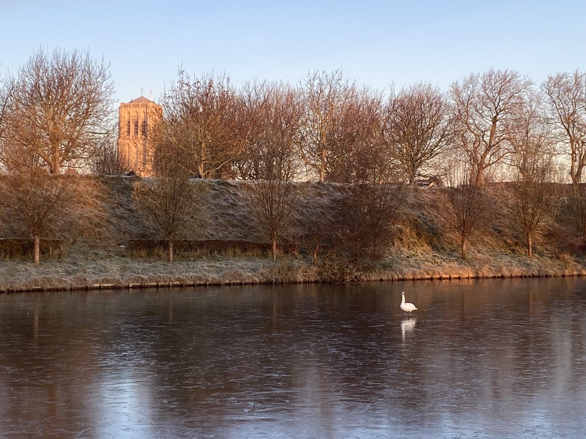 Goedemorgen Den Briel!