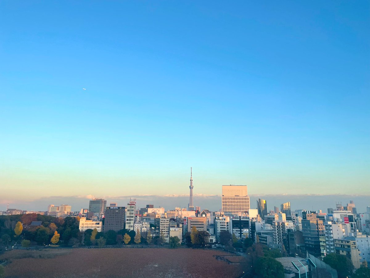 lucisgarden's tweet photo. こんばんは🌙
寒い日が続いておりますが、いかがお過ごしですか

本日は"12/24~25"限定
クリスマスコースについてご案内です🎅🏼
Webプラン限定でランチコース･ディナーコース🎄に乾杯スパークリングワイン付きやワンドリンク付きなどお得なプランをご用意しております🥂

ご来店お待ちしております😊 https://t.co/EhtkVOGedv