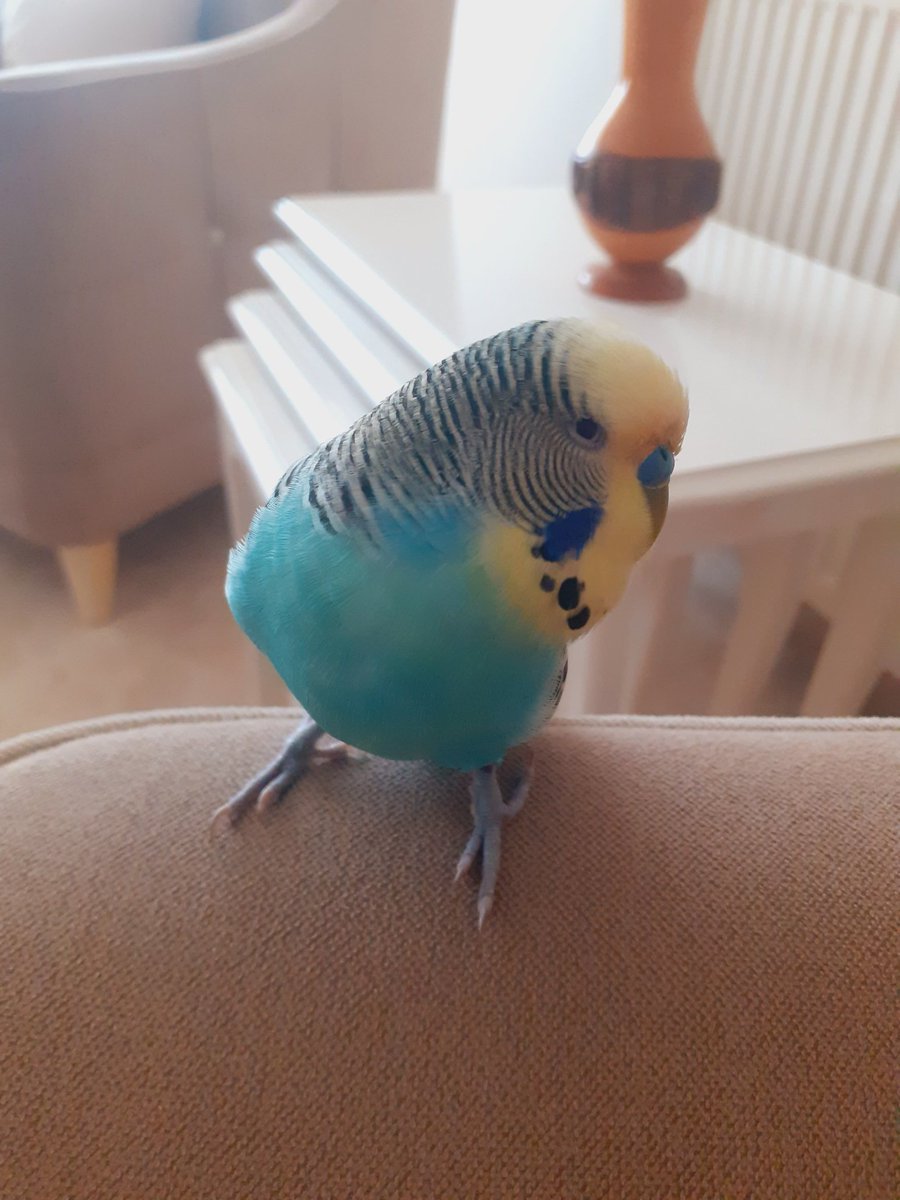 AltayyyGamze's tweet photo. Göbüşünü ısırmamak için zor tutuyorum kendimi oğluşum😬❤ https://t.co/OR9VDZJu6f