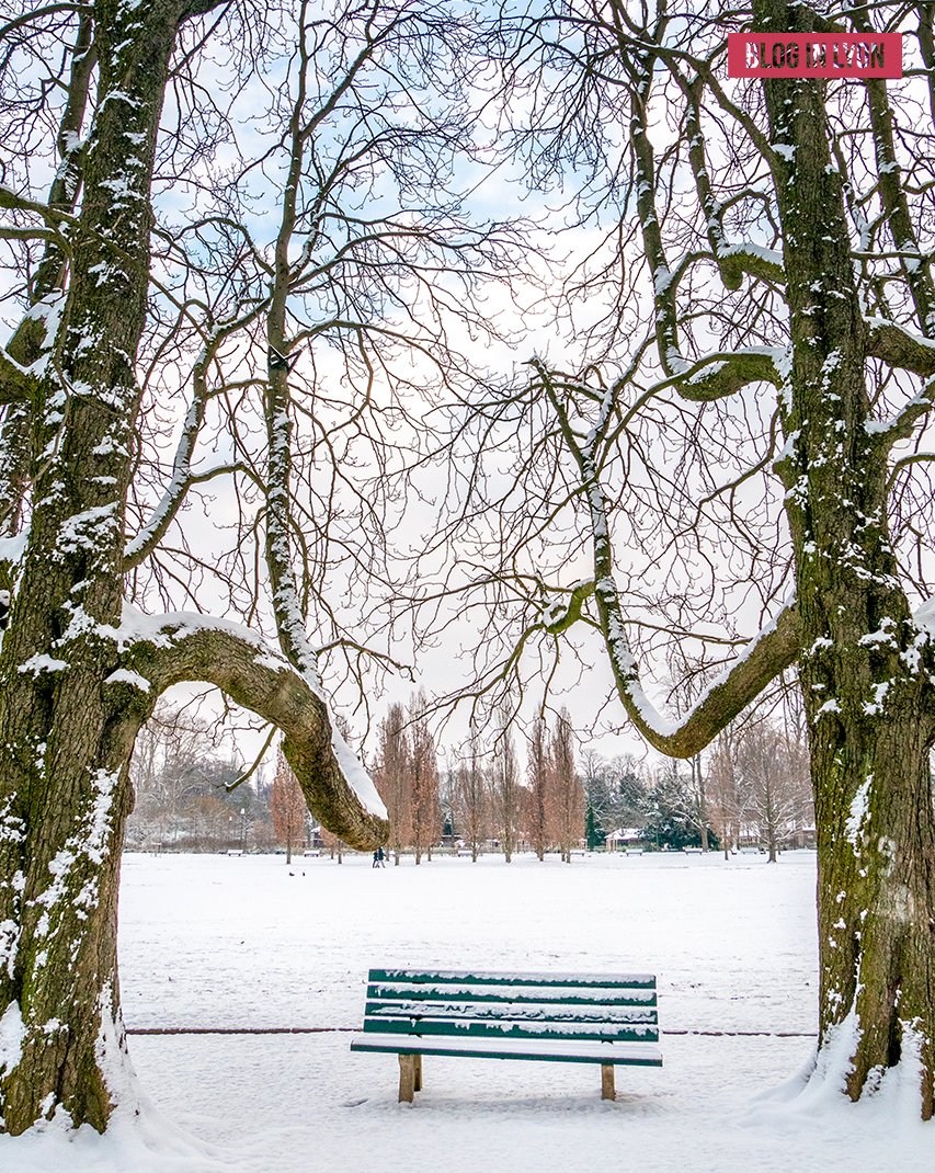 BlogInLyon's tweet image. Ce matin, #Lyon s'est réveillé sous un joli manteau blanc ❄ ⛄

#neige #rhone @villedelyon
