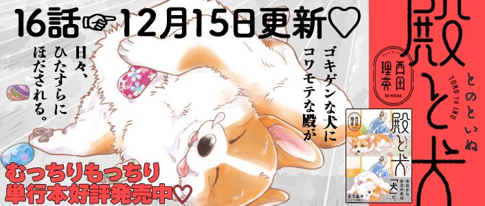 今週木曜日、ポラリスで 新しいお話が読めるよ🫶  とんでもなく◯好きな 新キャラも登場〜🌟🐶🌟  #殿と犬 