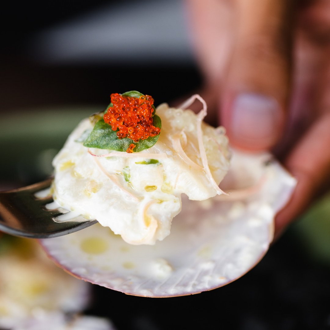MeyrickWill's tweet photo. Scallop ceviche with coconut, kalamansi , green chillli oil & finger limes
@hujan_locale
#willmeyrick #chefslife #chefsofinstagram #foodblogger #foodie #kitchenlife #kitchen #chefplateform #recipe #foodstagram #chefgram #chefstable #chefs #truecooks #foodies #instachef https://t.co/4aEl0CAvbI