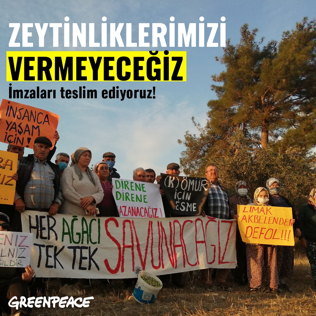 Zeytinlikler yine tehlikede! TBMM'ye sunulan torba yasa teklifi, bugün komisyonda görüşülecek. Maden Kanunu’na eklenmek istenen maddeyle zeytin sahalarında madenciliğin önü açılmak isteniyor. +