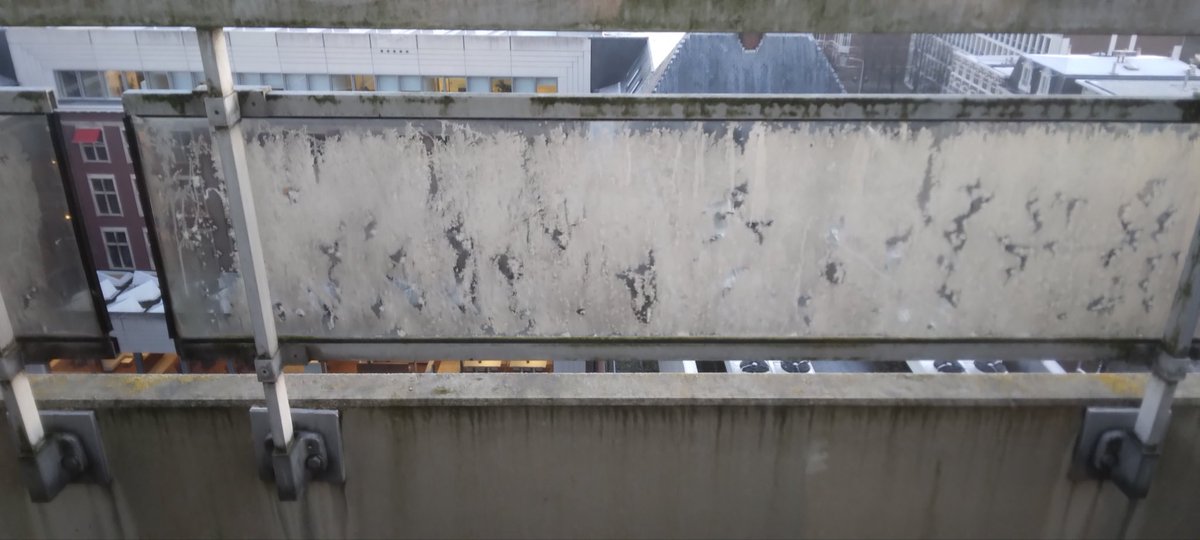 vpmdemos's tweet image. Hé,ijsbloemen.
Net als vroeger thuis,maar toen wel aan deramen