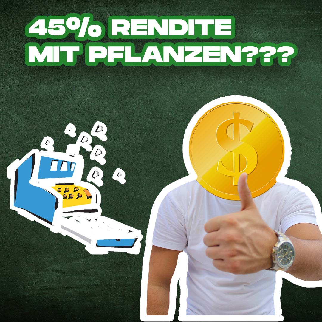 daytradertools1's tweet photo. 🚨 45% Rendite in 8 Monaten?!? So habe ich es gemacht: 🚨

👉 https://t.co/z0taTrPiLL  👈

#rendite #investment #pflanze #cannabis #mfp #myfirstplant #zahltag #outdoor #geld #anlage https://t.co/pvbhVp7IHU