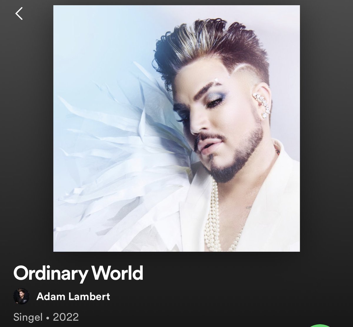 BenniiM's tweet photo. Holy shit ! This mans voice is out of this world, this version is amazing❤️  hit me straight in the heart as Always ❤️ thank you @adamlambert 🙌🏻❤️🔥 https://t.co/N3UpBGedn5