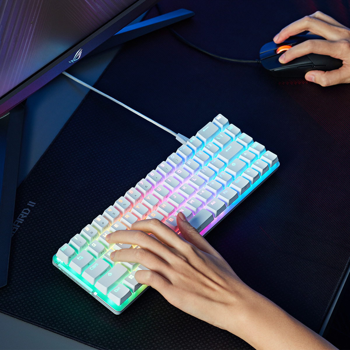 ASUS_ROG's tweet photo. Ready to game on a 60 percent #GamingKeyboard? ⌨
Check out the ROG Falchion Ace.▶️ https://t.co/Aql2lVXwY5
#ROGPeripherals #MiniGamingKeyboard #WhiteGamingKeyboard https://t.co/OimPdtGCt0