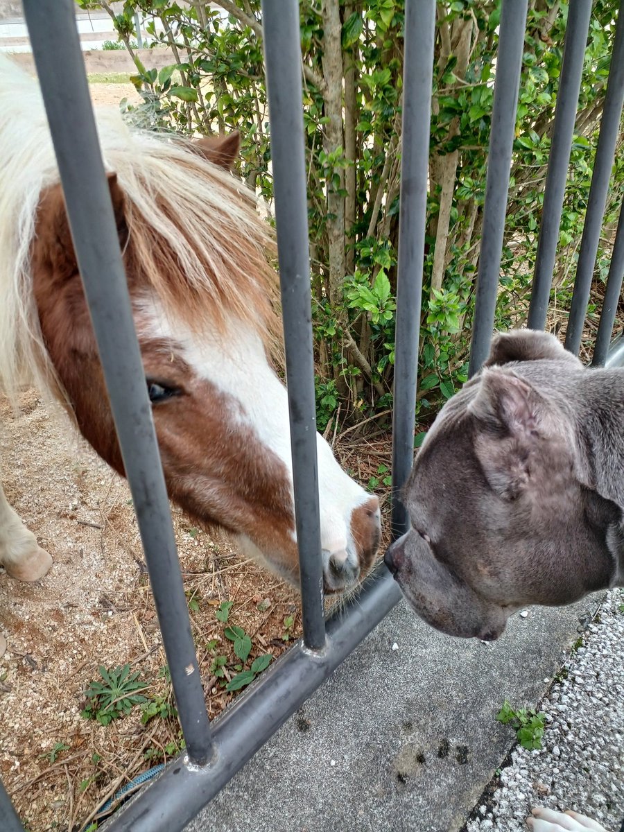 仲良しになれるかな(^ω^)