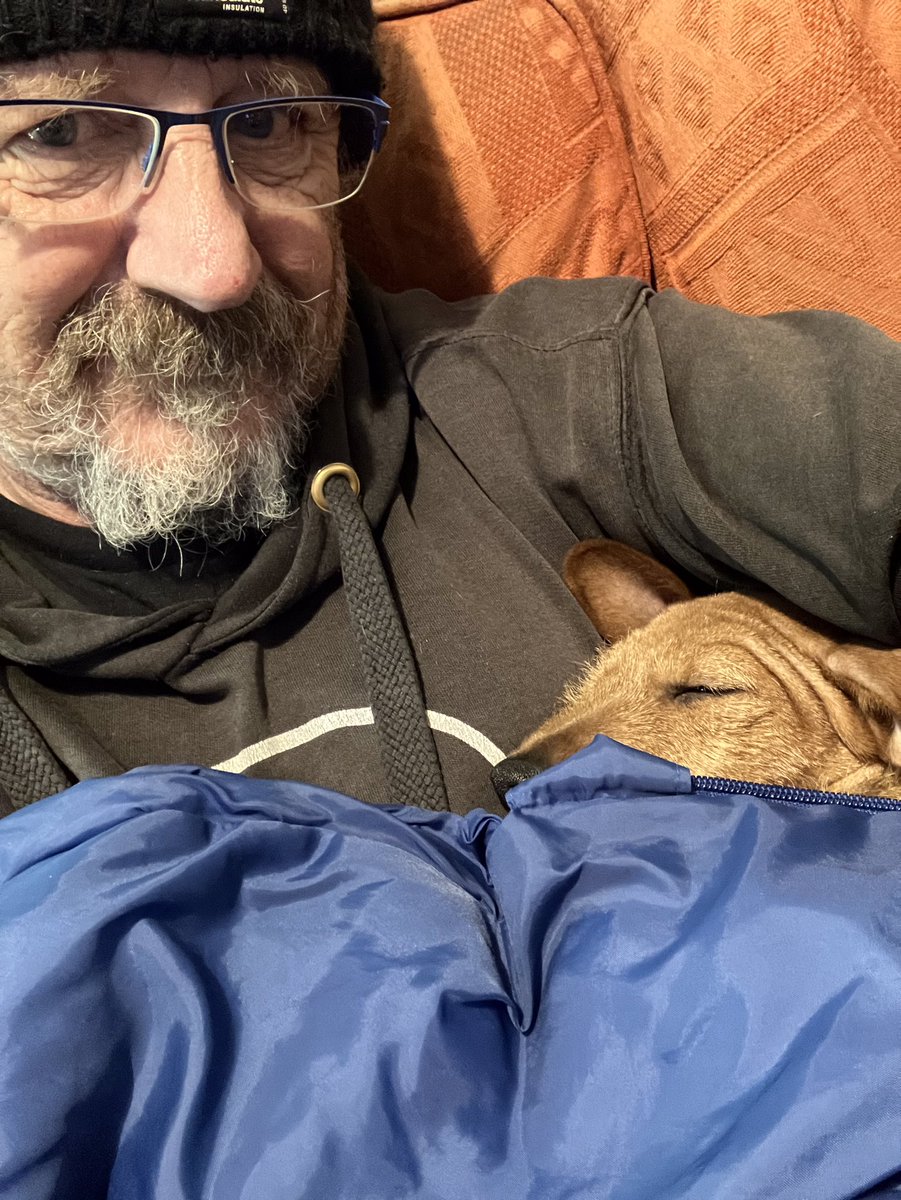 tantrictrevbbq's tweet image. #DogsofTwittter #newfriend #bobthedog