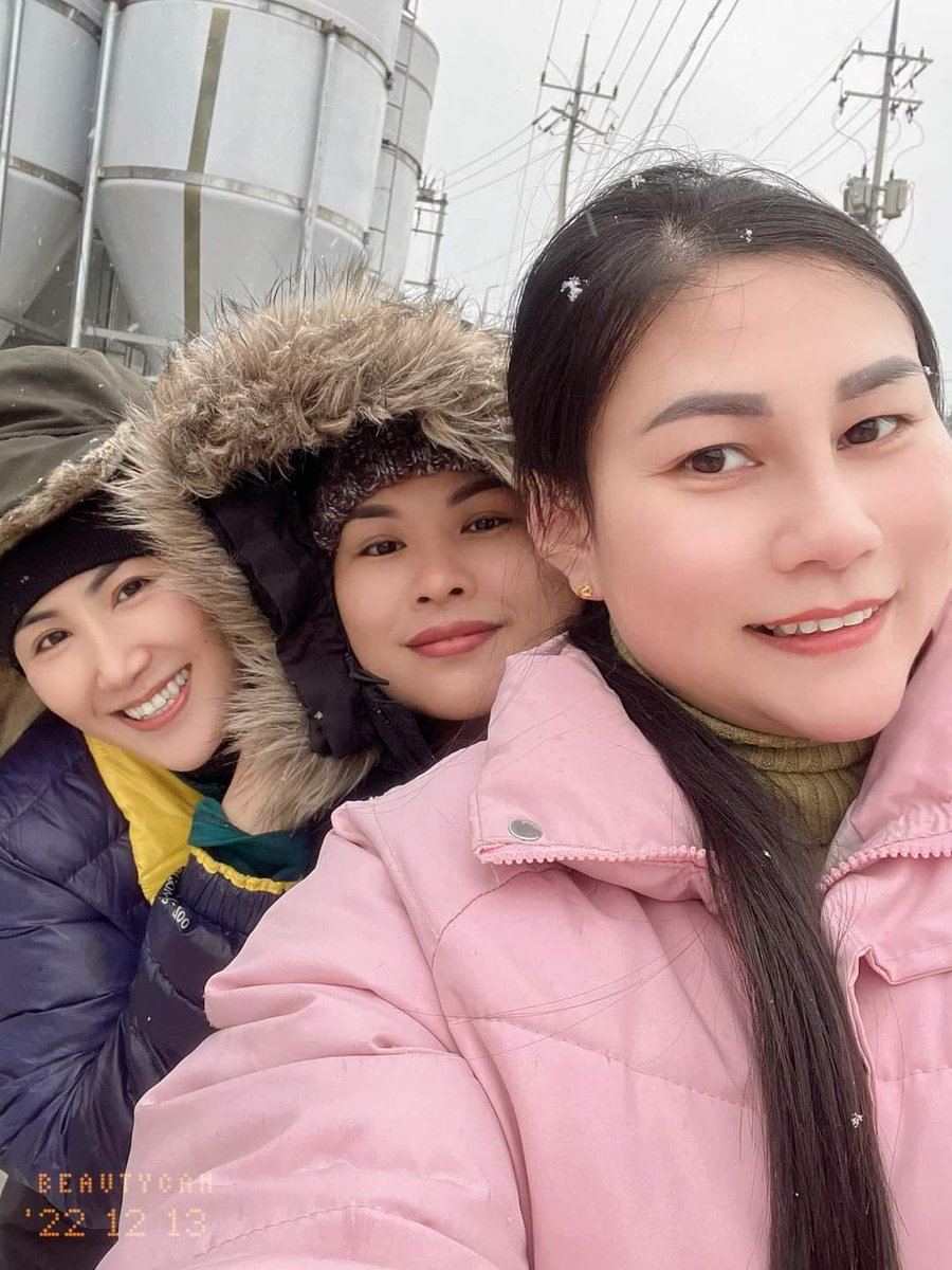 สาวโรงงานในเกา
หิมะตกแล้วจร้า