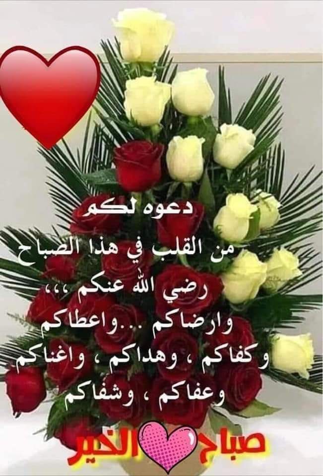 ياسين ياسين tweet media