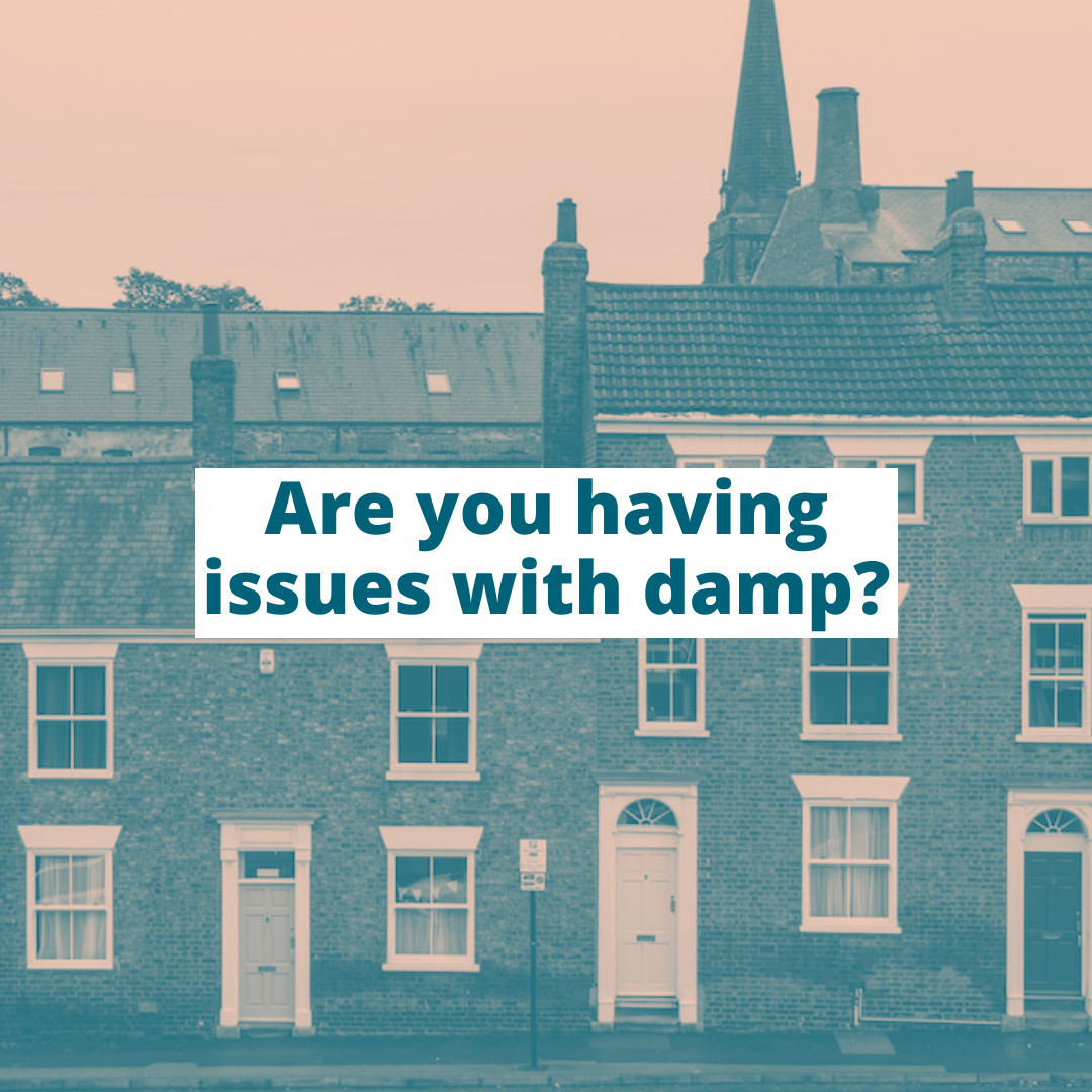 CitizensAdvice's tweet photo. It's not always easy to work out if your landlord is responsible for fixing problems with damp.

Our advice can help ⤵️ 
https://t.co/MWjTeazfE9 https://t.co/HS1KYKxtNT