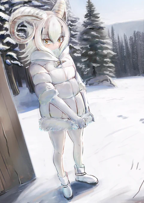 ドルーシ 