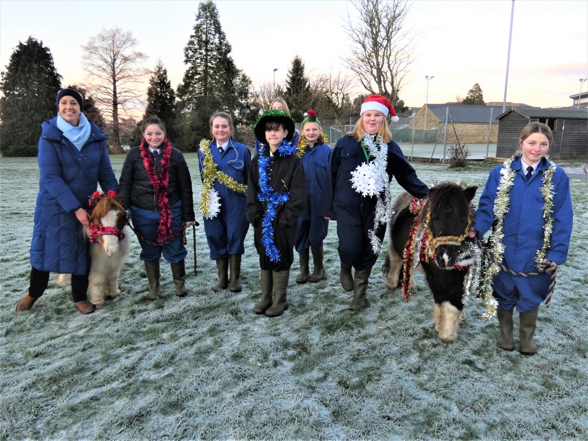 ripleystthomas's tweet photo. Farm Club enjoyed their ‘Best Christmas-dressed Shetland ponies and Springer Spaniel’ competition last night! Rex the Springer was too quick for us, running off with the elf on a shelf! #farmclub #festivefarmclubgreetings https://t.co/UGqzBOy7rQ