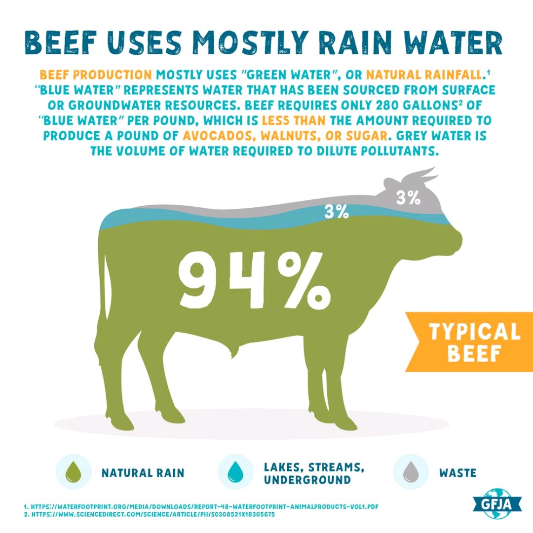 Everything people tell you about livestock being bad for the environment is wrong