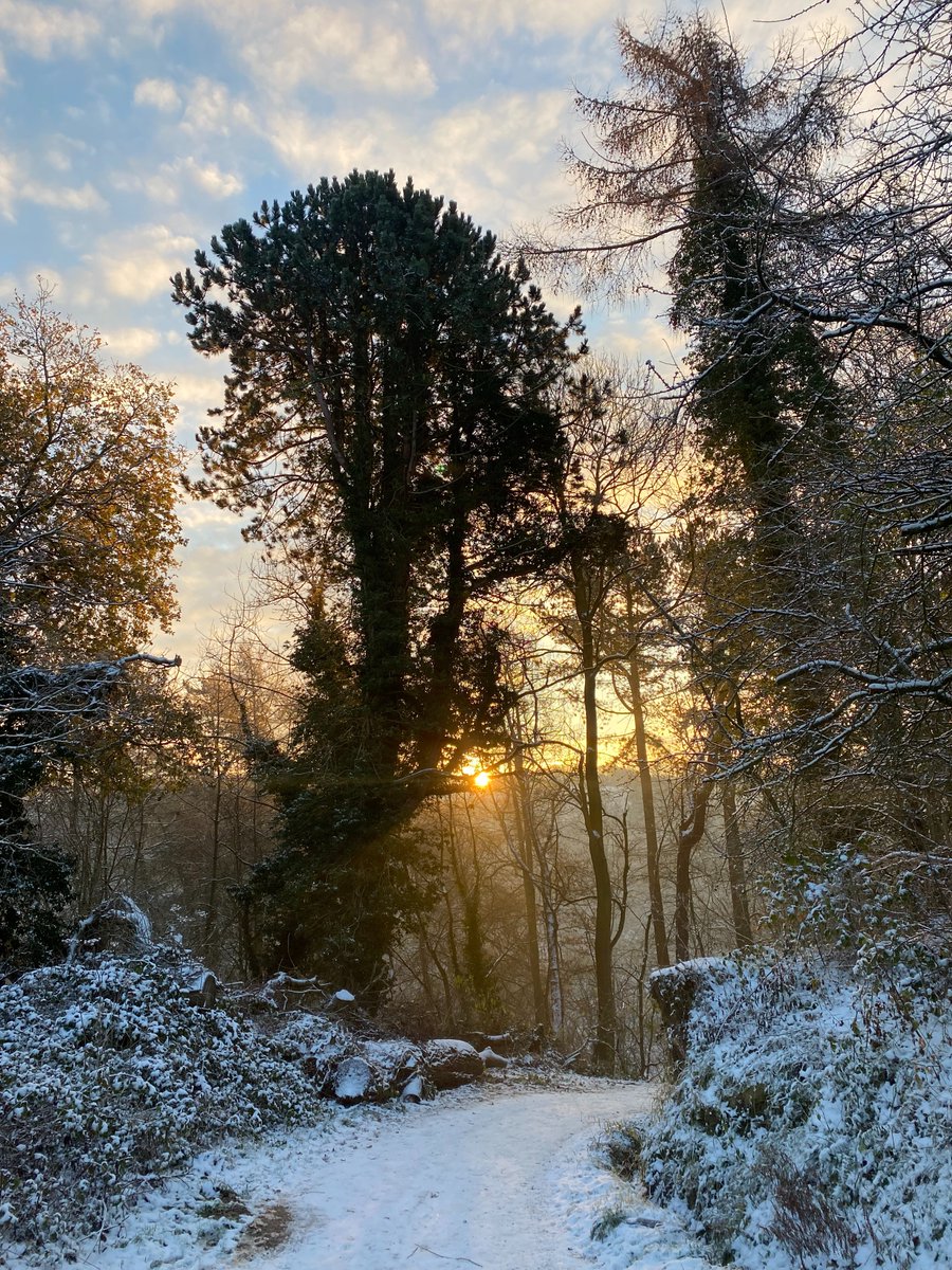 We can't get enough of these crisp #winter mornings ❄️ Seeing the Dene change through the seasons is really something special #ancientwoodland #snow