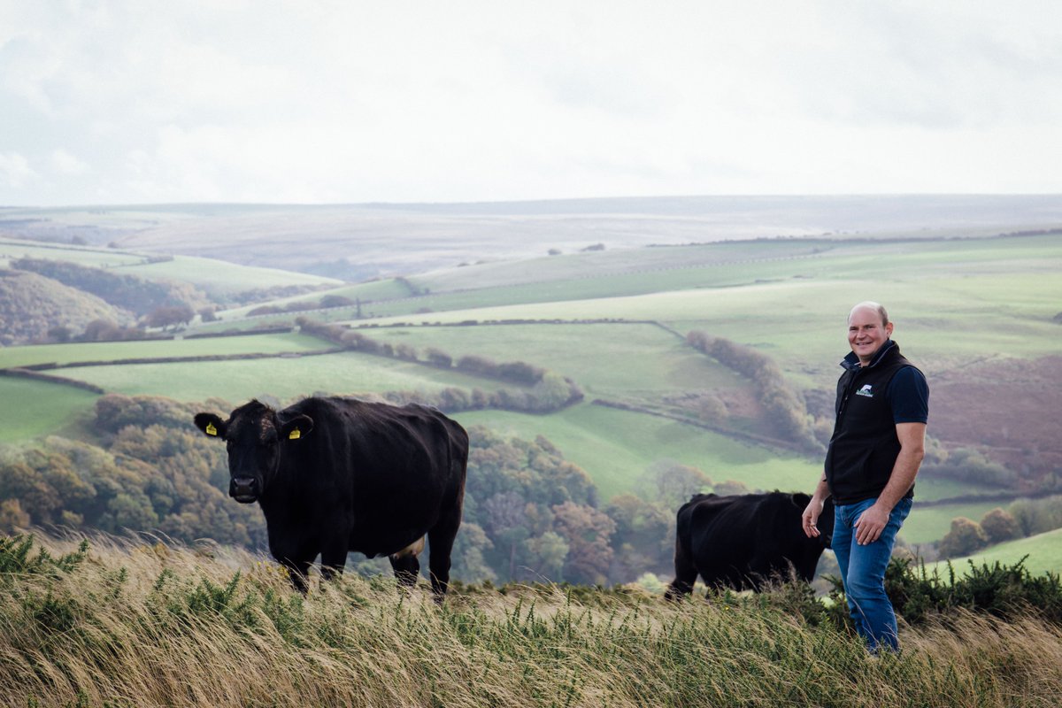 Check out our latest case study from @farmer_burge , Beef and sheep farmer from Exmoor. Tom shares the changes made to become a low-cost forage-based system, despite the challenges of farming at 750-1400ft. mailchi.mp/precisiongrazi…