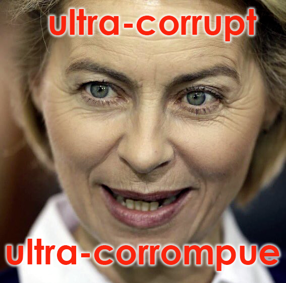 quick_frexit's tweet photo. @vonderleyen EU IS DEAD ! #euisdead 
SMASH THE EU ! #frexit #italexit #spexit #polexit #FULLEXIT https://t.co/Nj1sdOB0H7