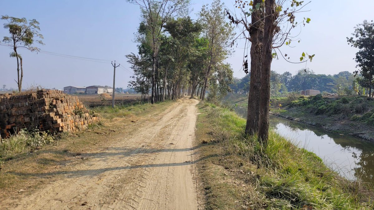 GerAmbKTM's tweet photo. I reached Bairgania in Bihar 🇮🇳 after a 118 km ride 🚴🏼‍♂️. Crossing the border took me 2 hours. Harvest is going on and the villagers are very busy… 🌾👩🏽‍🌾👨🏾‍🌾

#KtmToDhaka #BikeTrip #India https://t.co/u4DPSA6Znc