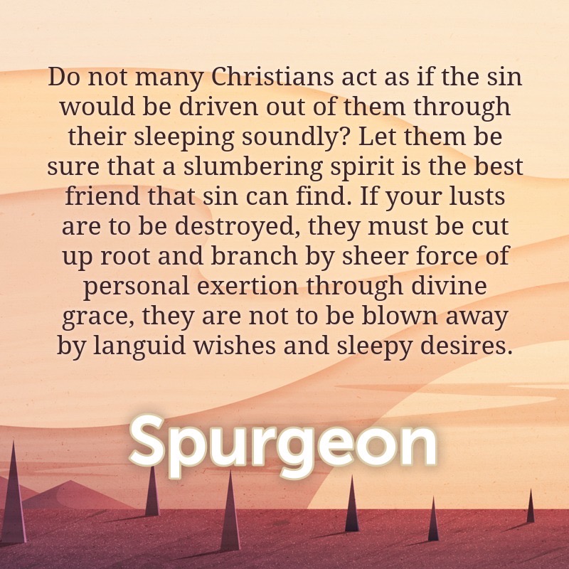 ReadingSpurgeon's tweet photo. A slumbering spirit is sin’s best friend.

#Spurgeon #s712 https://t.co/3PYpG4nelQ
