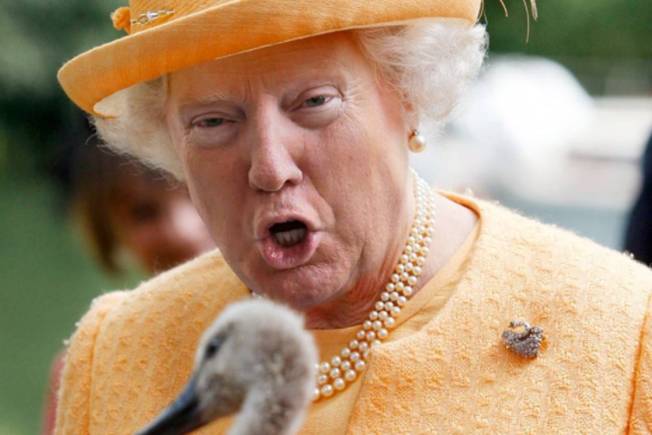 Mybeezness's tweet photo. Melt a Snowflake today, tell them Trump is your President. Someone was having fun with Photoshop, I think... https://t.co/I4zpPNhV0G
