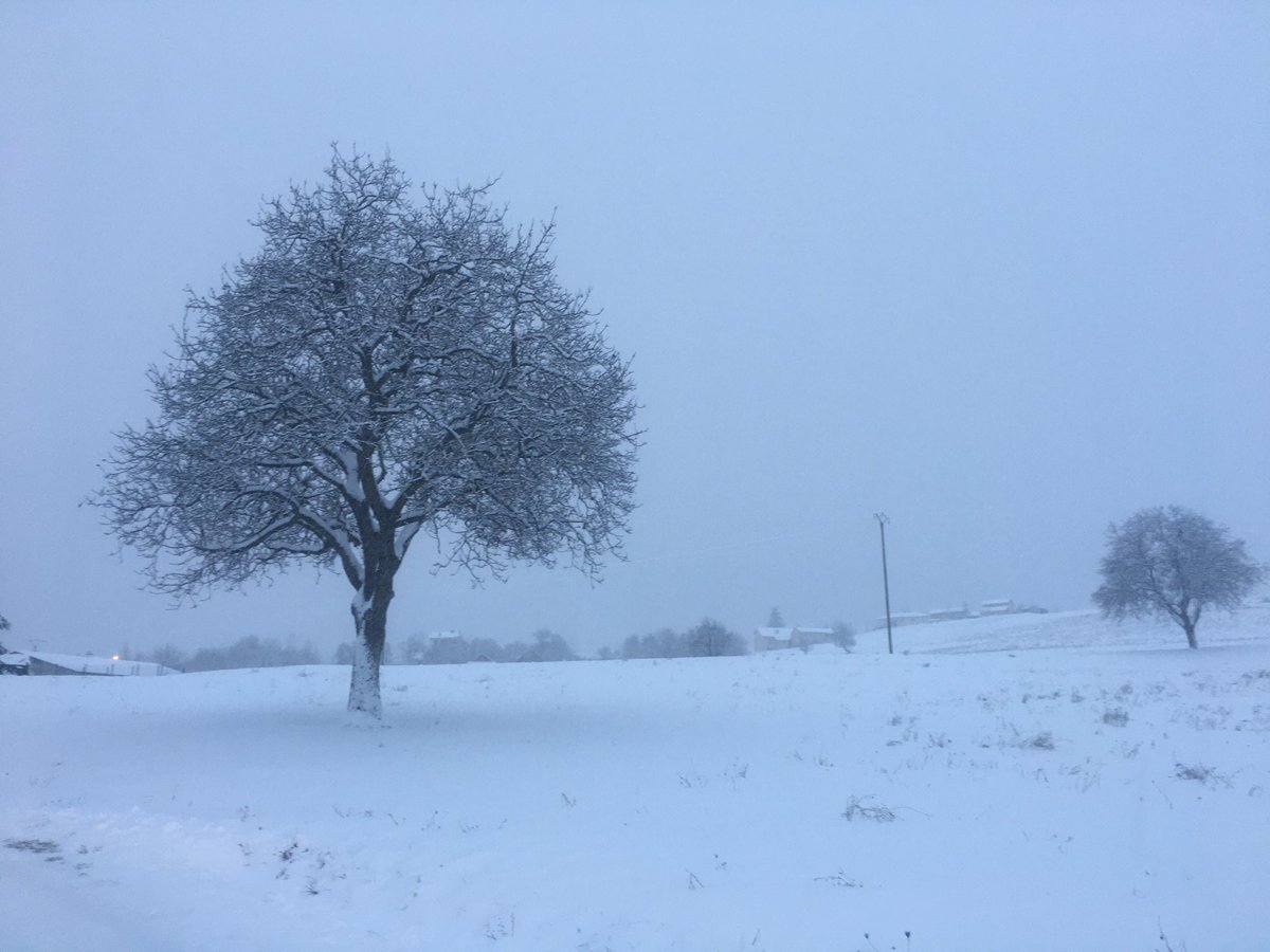 CazacMathias's tweet photo. Bonjour ⁦@Meteoalacarte⁩ « winter is back again » à Bellaffaire (04).Ce qui est bien avec la neige, c’est que c’est facile de faire des photos pas trop mal. 12 cm de neige fraîche et ça continue ! Bonne journée https://t.co/39QOXWtPhN