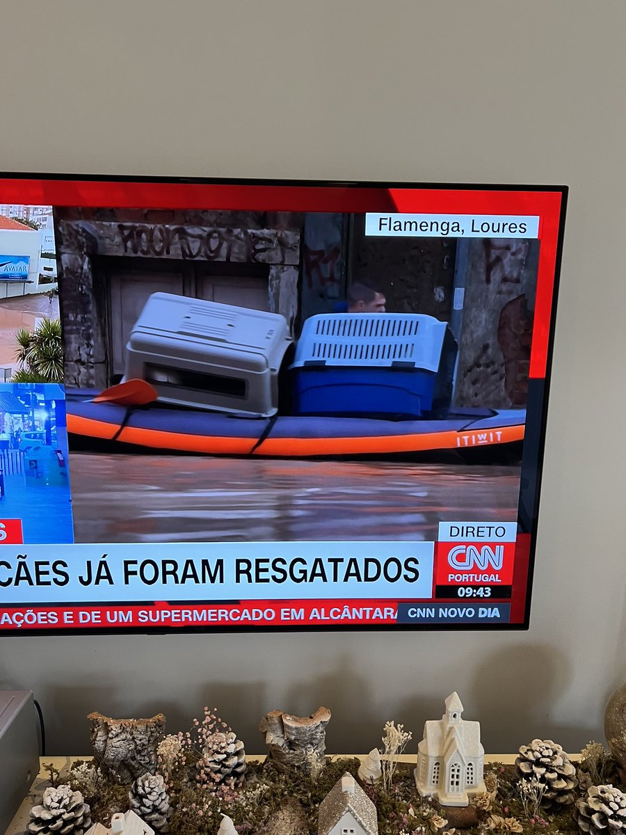 PaulaNevesD's tweet photo. Gosto tanto deles ❤️ Bravo 👏 👏👏 estão a resgatar de caiaque os animais ao colo! São os maiores! https://t.co/5R10s5SoPW