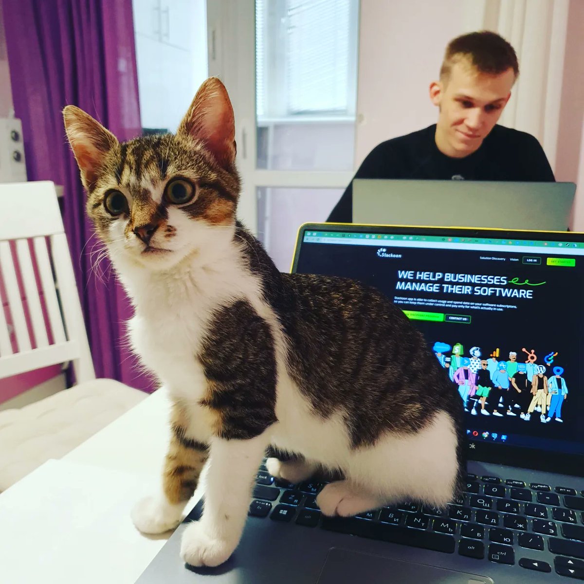 StackBobAI's tweet photo. https://t.co/dOlxXWi9Ha